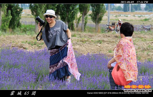 伊犁环线 (184).jpg