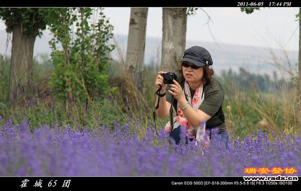 伊犁环线 (186).jpg