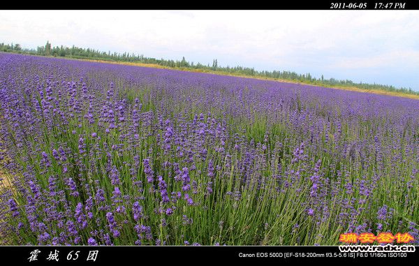 伊犁环线 (190).jpg