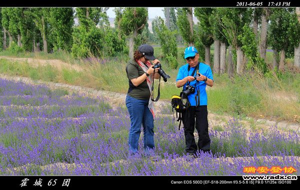 伊犁环线 (182).jpg