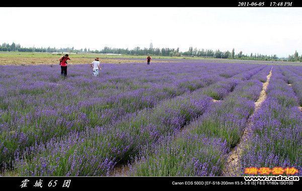 伊犁环线 (191).jpg