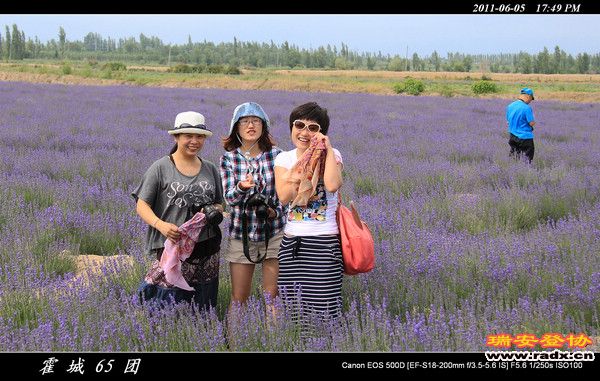 伊犁环线 (195).jpg