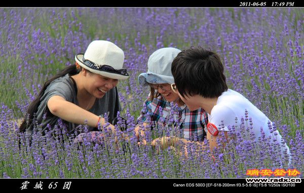 伊犁环线 (194).jpg