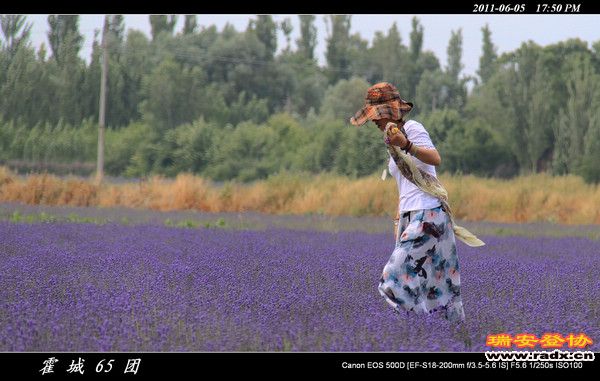 伊犁环线 (196).jpg