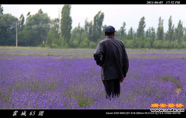 伊犁环线 (198).jpg