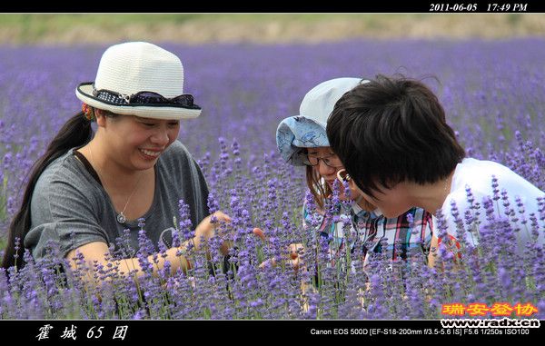 伊犁环线 (193).jpg