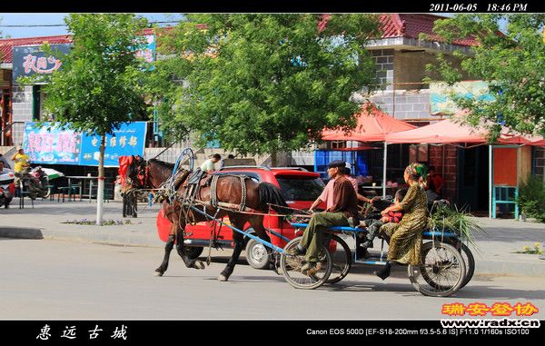 伊犁环线 (209).jpg