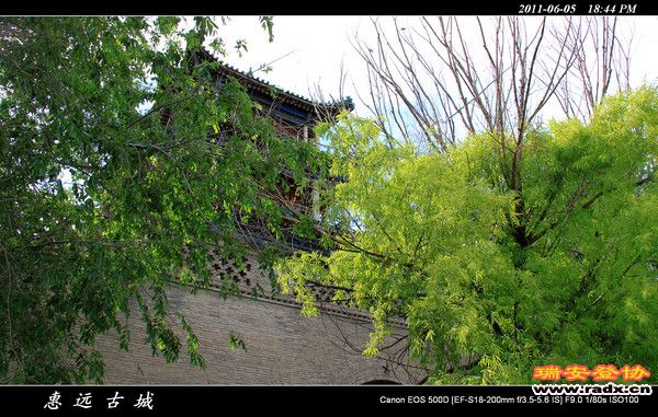 伊犁环线 (208).jpg