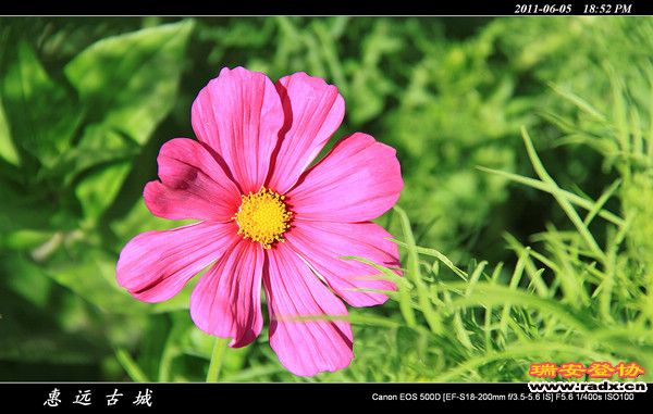 伊犁环线 (216).jpg