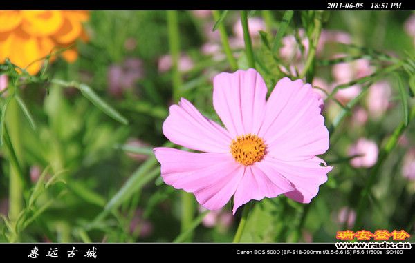 伊犁环线 (213).jpg