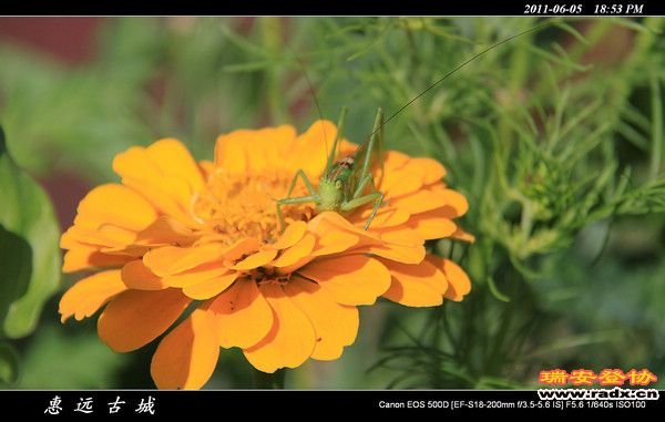 伊犁环线 (218).jpg