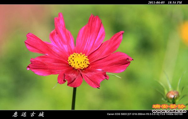 伊犁环线 (219).jpg