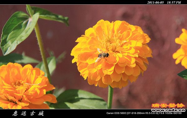 伊犁环线 (224).jpg