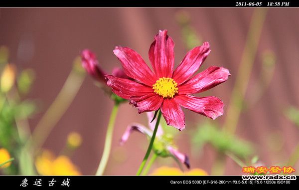 伊犁环线 (226).jpg