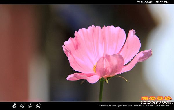 伊犁环线 (231).jpg