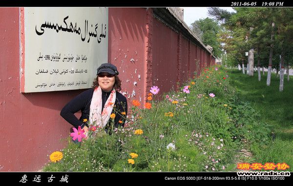 伊犁环线 (240).jpg