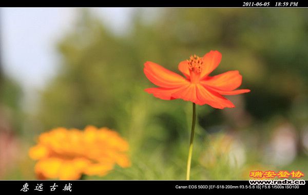 伊犁环线 (227).jpg