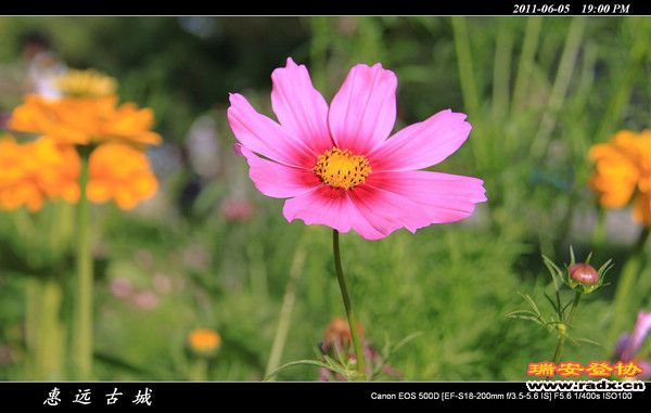 伊犁环线 (229).jpg