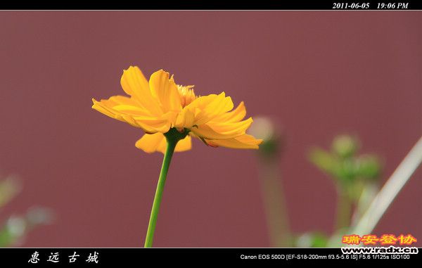 伊犁环线 (237).jpg