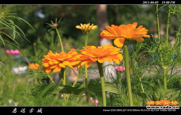 伊犁环线 (228).jpg