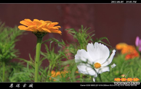 伊犁环线 (230).jpg