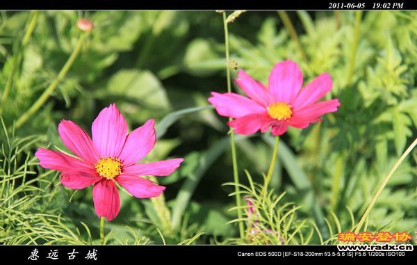 伊犁环线 (232).jpg