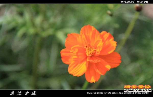 伊犁环线 (238).jpg