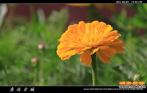 伊犁环线 (233).jpg