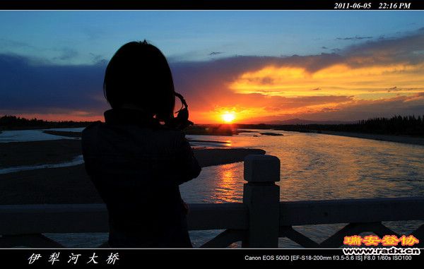 伊犁环线 (293).jpg