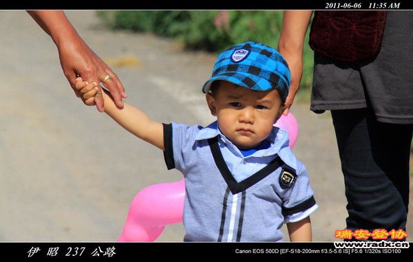 伊犁环线 (308).jpg