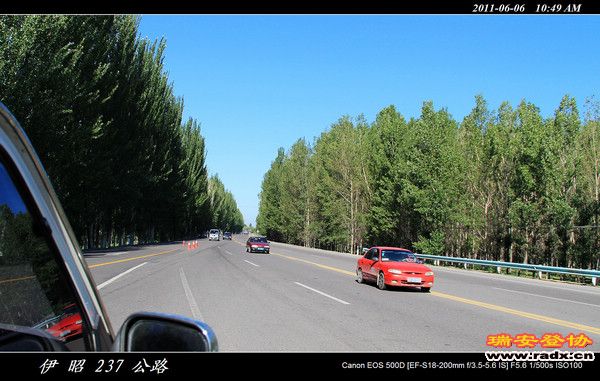 伊犁环线 (298).jpg