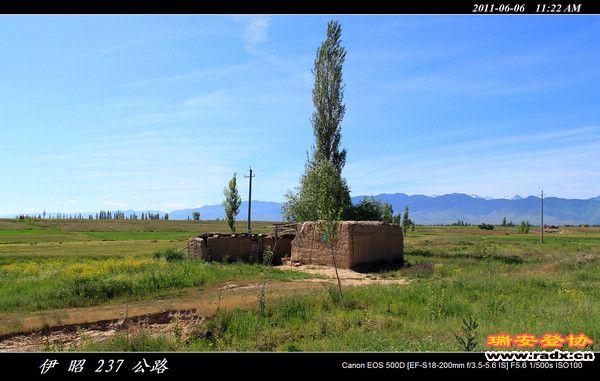 伊犁环线 (301).jpg