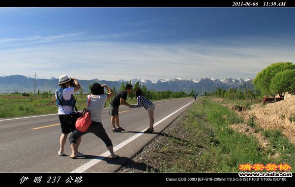 伊犁环线 (305).jpg