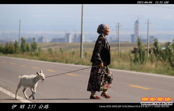 伊犁环线 (306).jpg