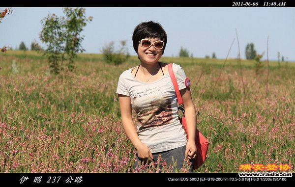 伊犁环线 (310).jpg