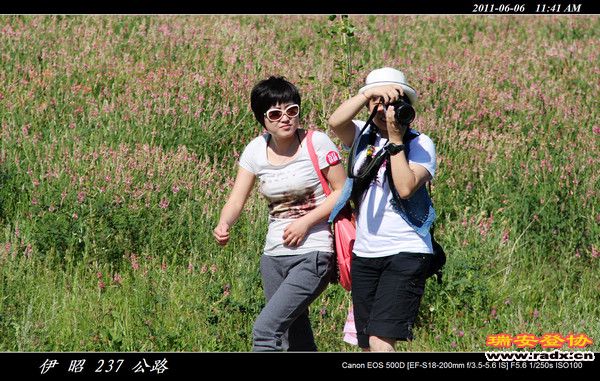 伊犁环线 (312).jpg