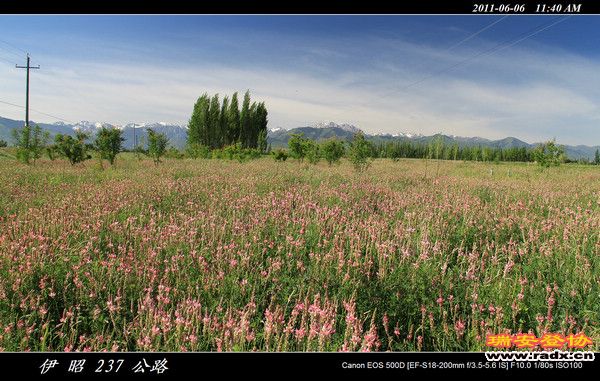 伊犁环线 (311).jpg