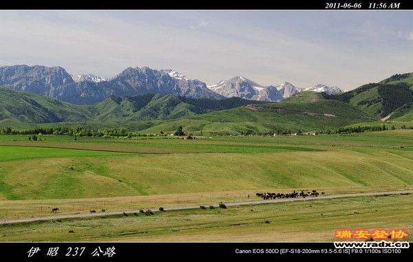 伊犁环线 (322).jpg