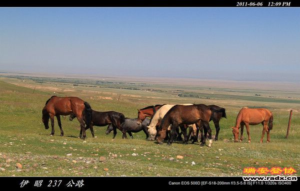 伊犁环线 (332).jpg