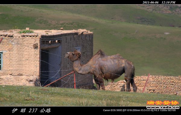 伊犁环线 (334).jpg