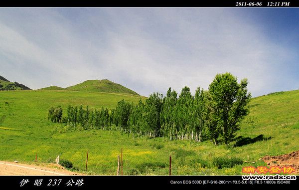 伊犁环线 (336).jpg