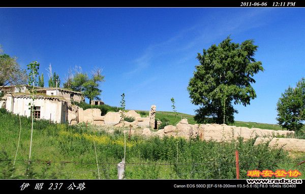 伊犁环线 (337).jpg