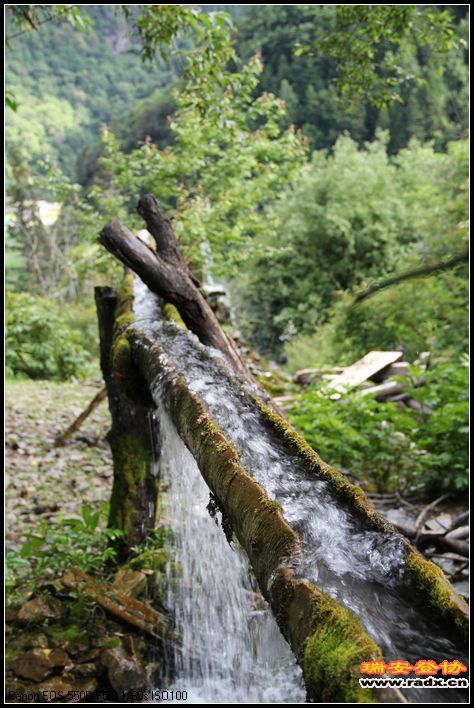 村里的引水灌溉系统很完备