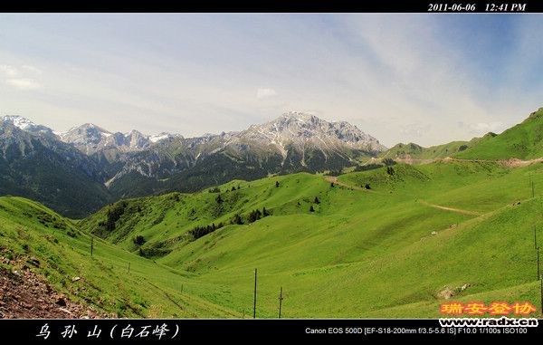 伊犁环线 (345).jpg