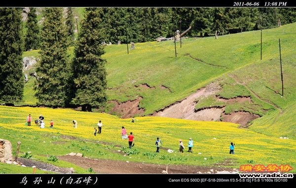 伊犁环线 (357).jpg