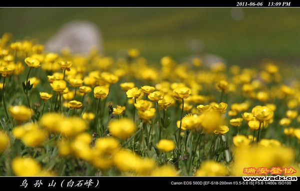 伊犁环线 (358).jpg