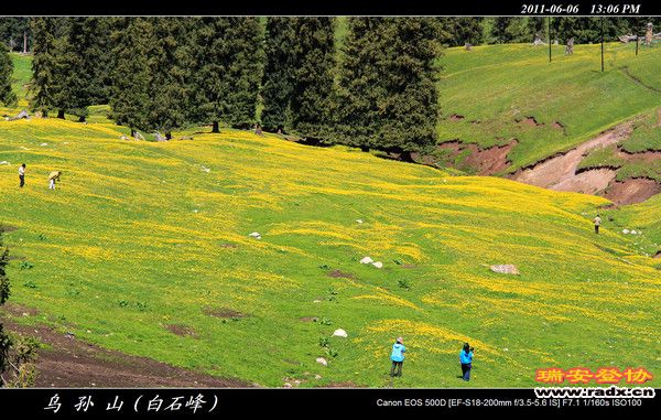 伊犁环线 (351).jpg