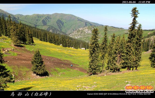 伊犁环线 (350).jpg