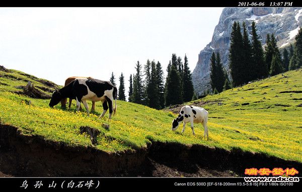 伊犁环线 (354).jpg