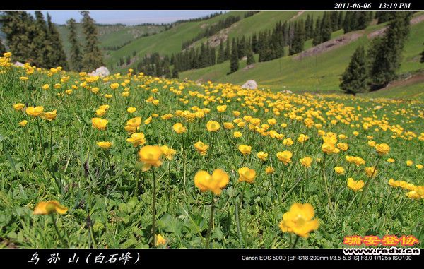 伊犁环线 (359).jpg